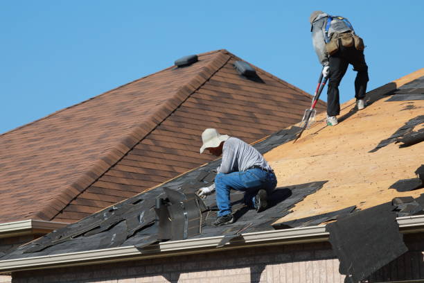 Steel Roofing in Herald Harbor, MD